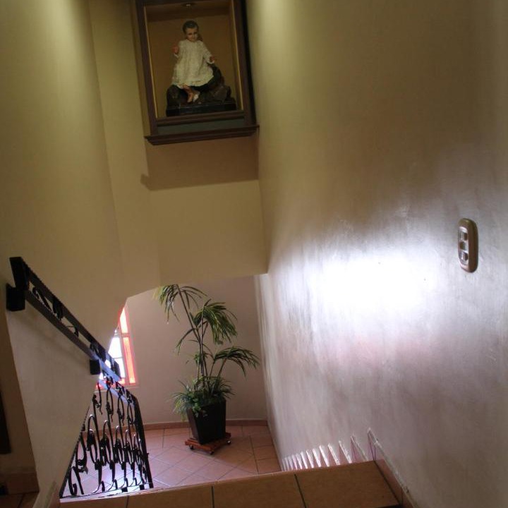 Photo of Others in San Juan de los Lagos
