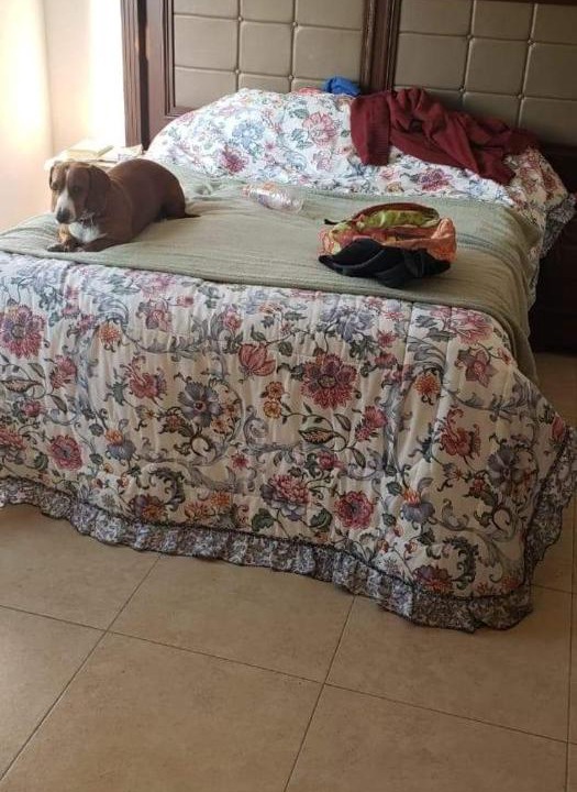 Photo of Bedroom in Pachuca