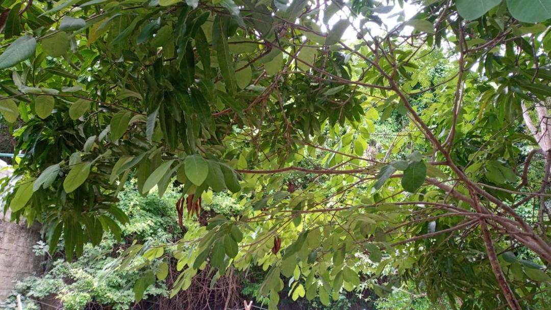 Photo of Outdoor in Santa Maria Huatulco