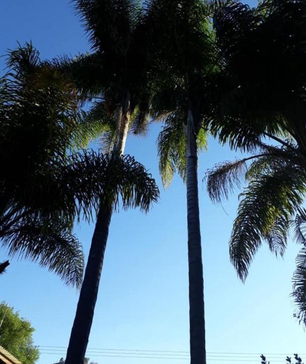 Photo of Outdoor in Atlixco