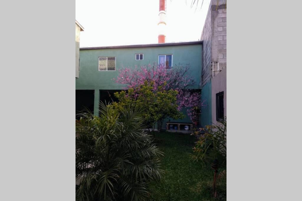 Photo of Others in Constitucion