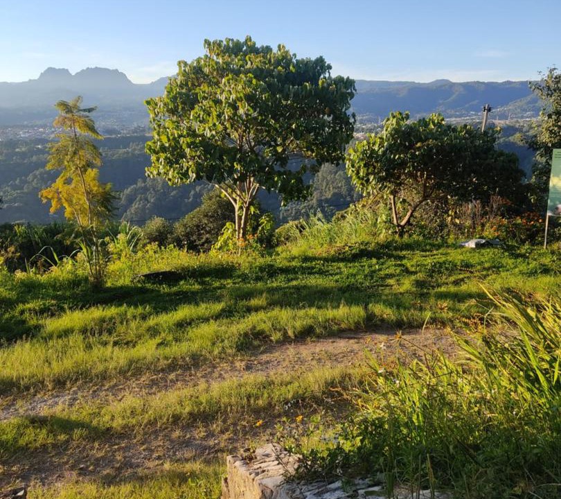 Photo of Outdoor in Huauchinango