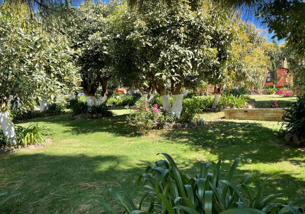 Photo of Others in Mazamitla