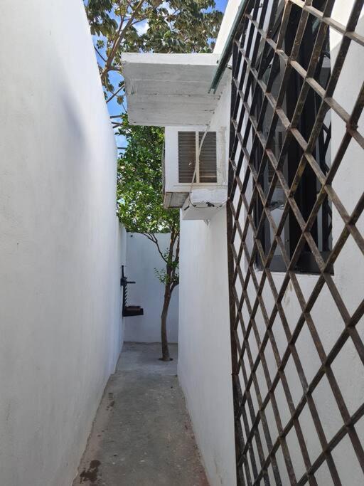 Photo of Buildings in Merida