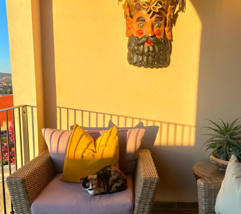 Photo of Livingroom in Colonia San Antonio
