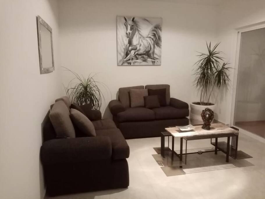 Photo of Livingroom in Jiutepec