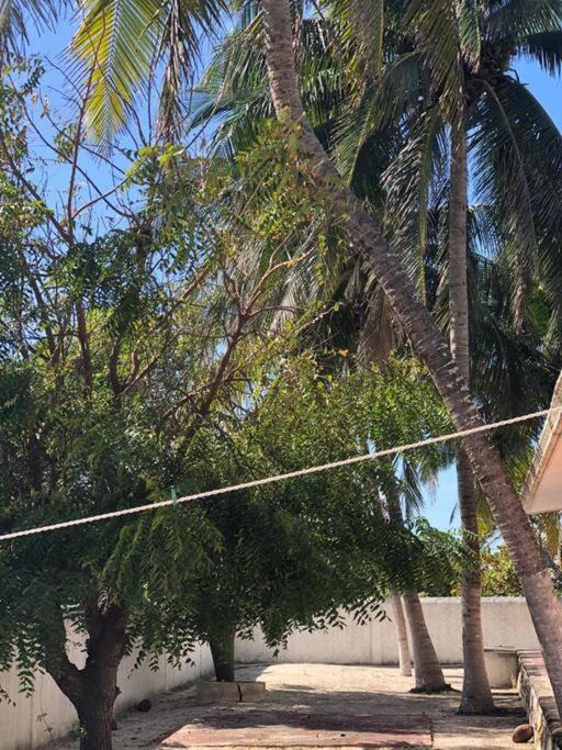 Photo of Outdoor in Chicxulub Puerto
