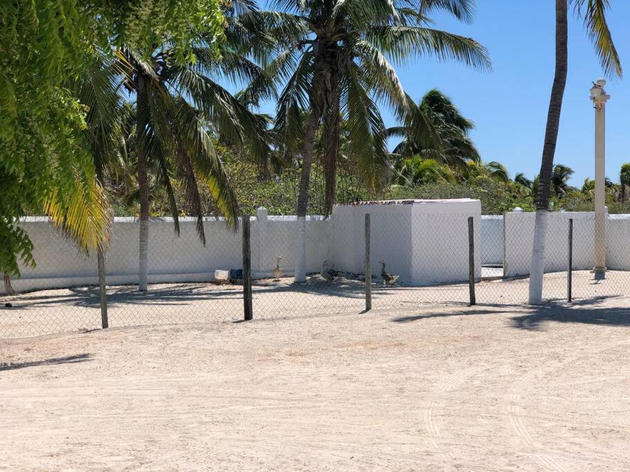 Photo of Buildings in Chicxulub Puerto