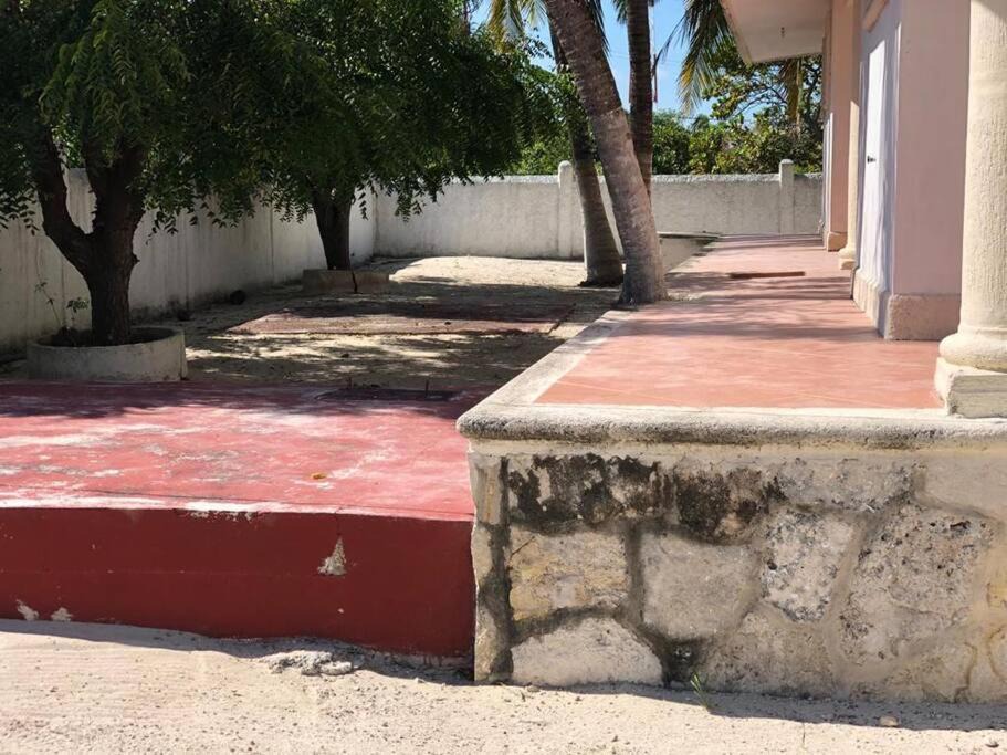 Photo of Others in Chicxulub Puerto