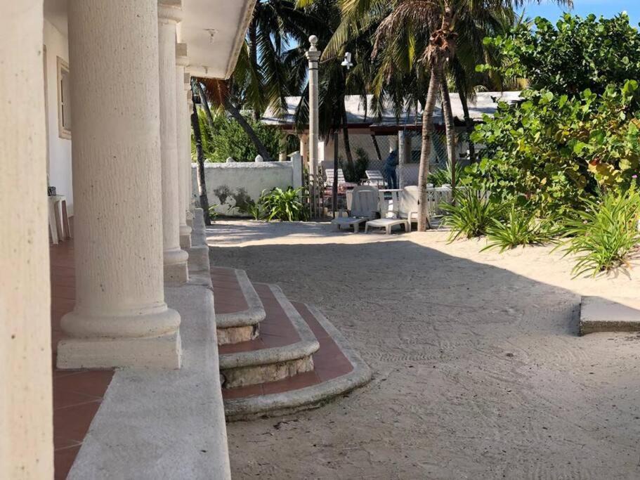 Photo of Others in Chicxulub Puerto