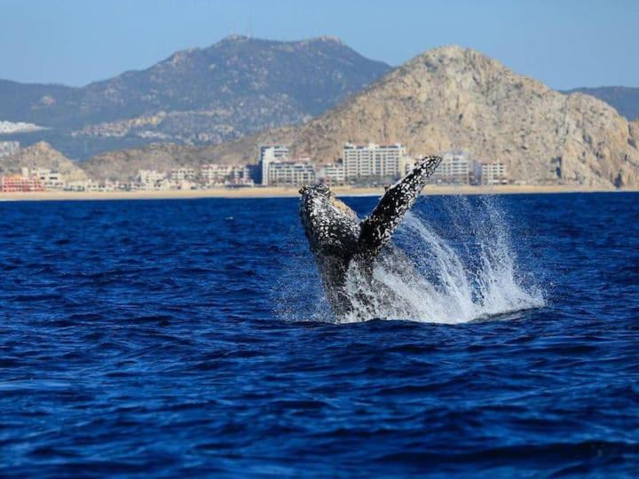 Photo of Outdoor in Marina