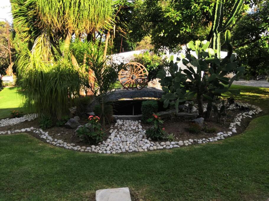 Photo of Others in Atlixco