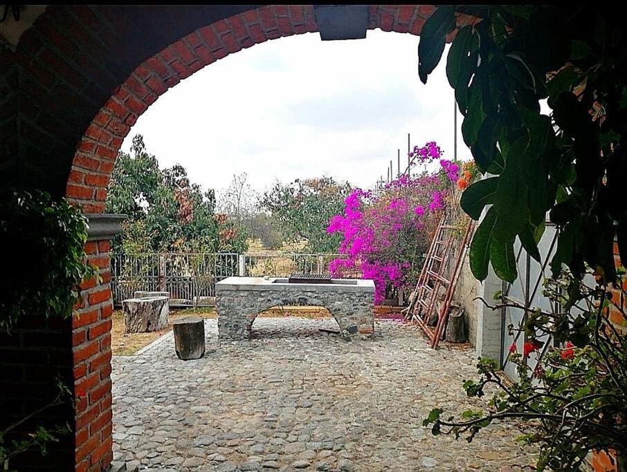 Photo of Others in Atlixco