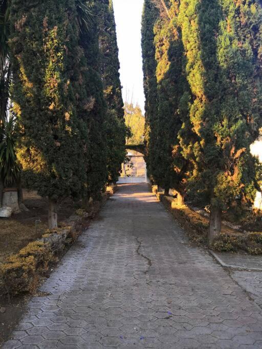 Photo of Others in Atlixco