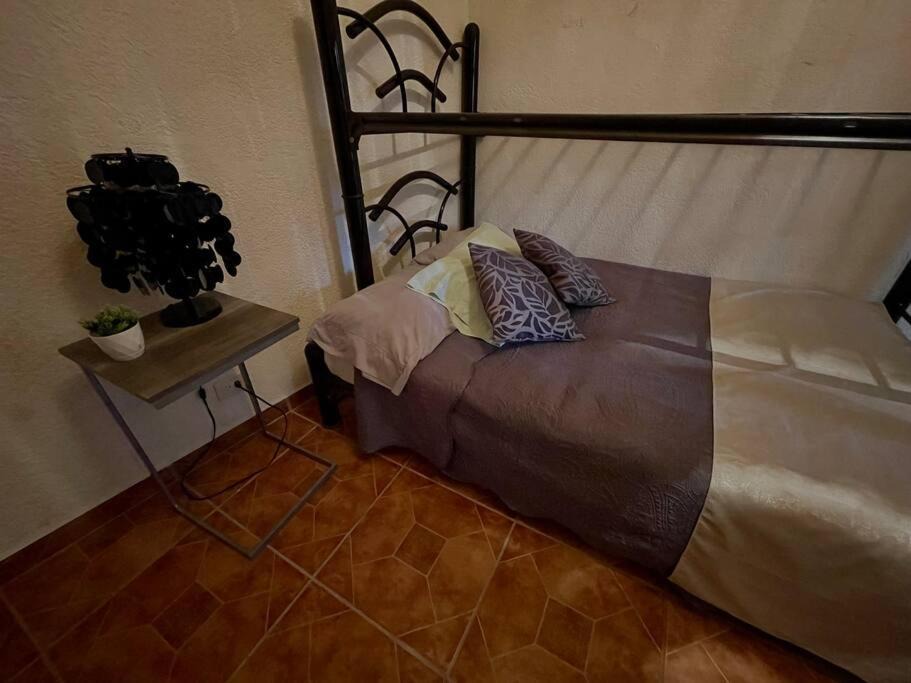 Photo of Others in San Miguel de Allende