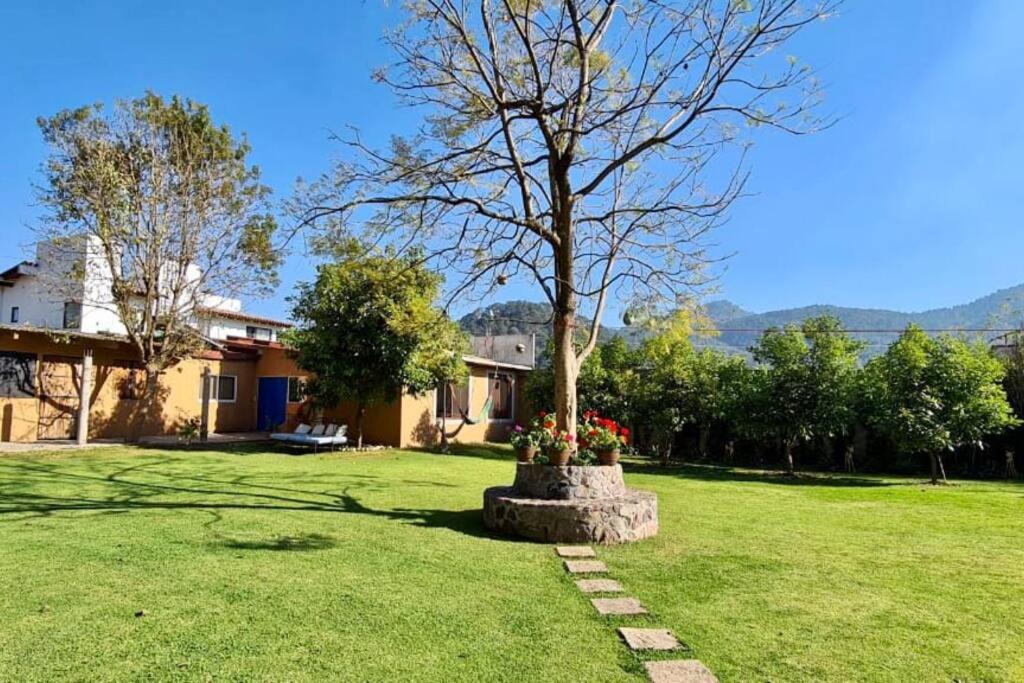 Photo of Others in Valle de Bravo