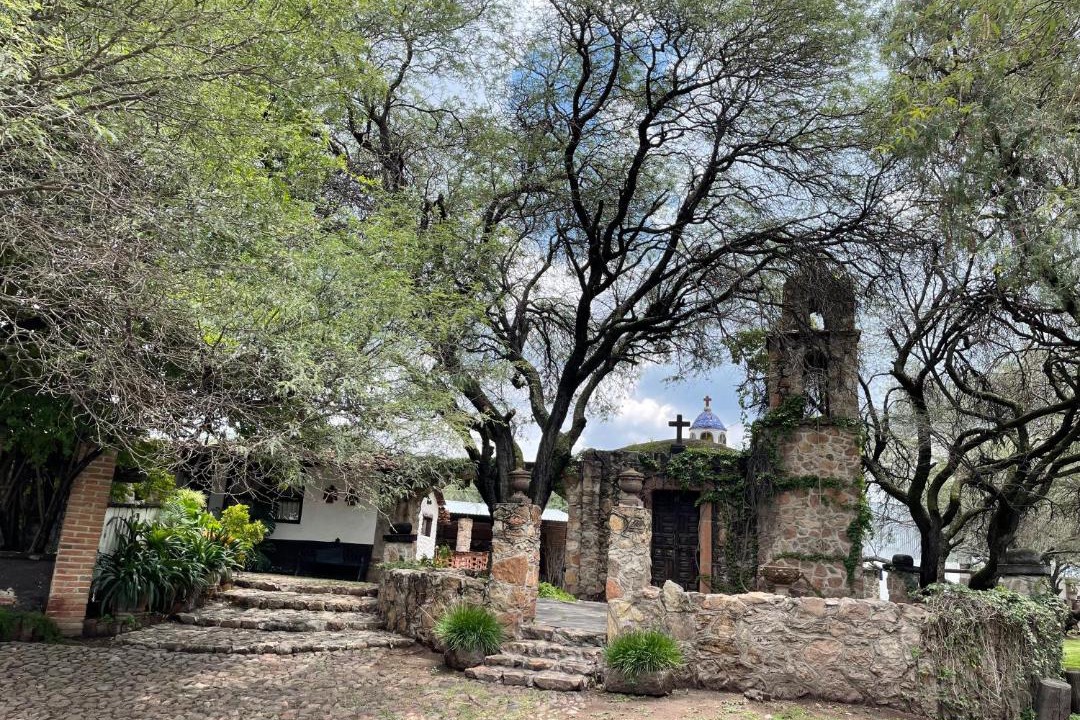 Photo of Others in San Juan del Rio
