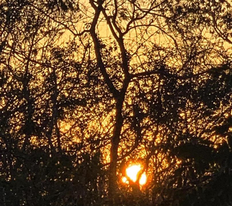 Photo of Outdoor in Tixkokob