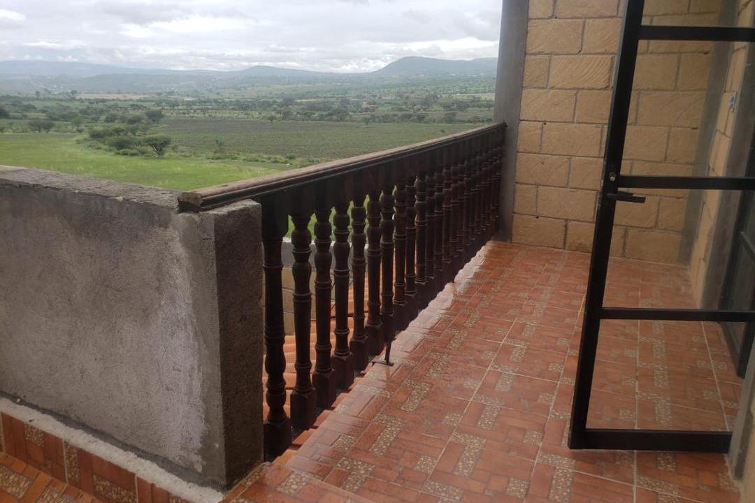 Photo of Others in Mineral de Pozos