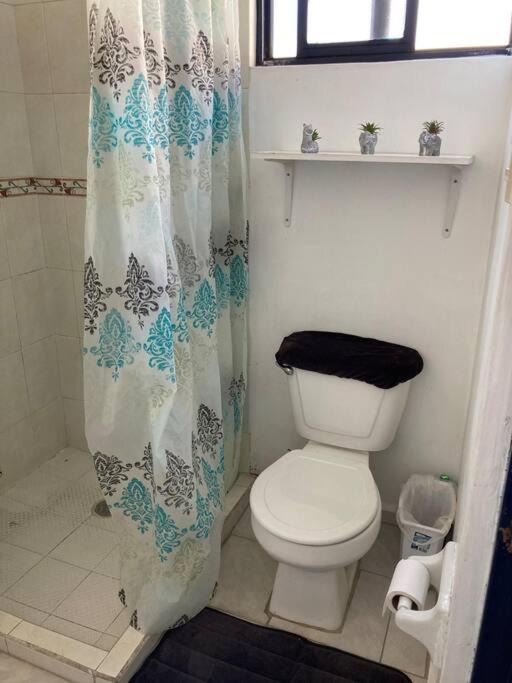 Photo of Bathroom in Soledad de Graciano Sanchez