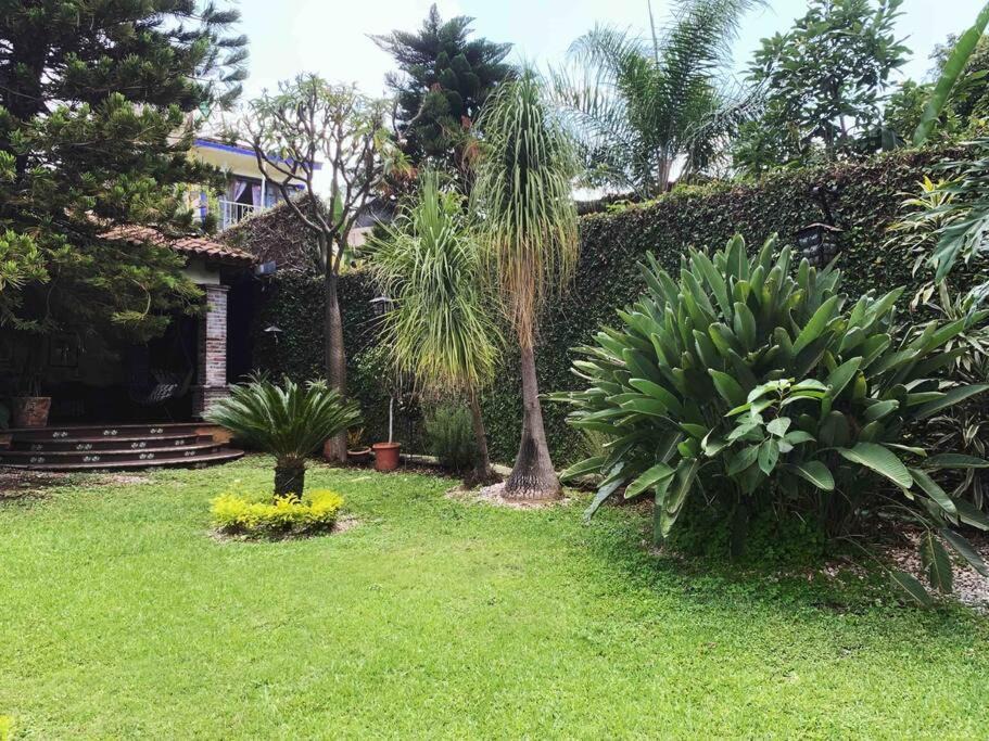 Photo of Others in Yautepec