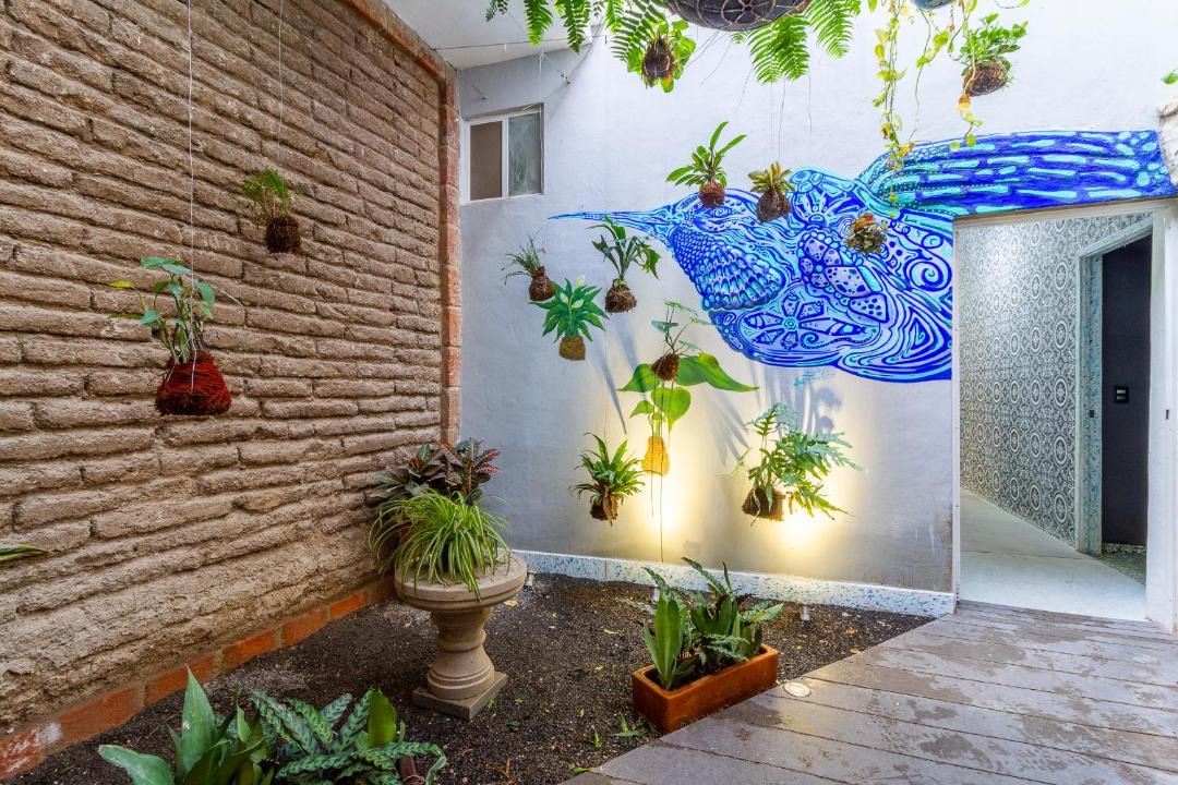 Photo of Others in Guadalajara
