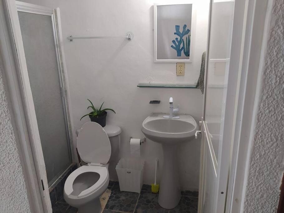 Photo of Bathroom in Downtown Cancun