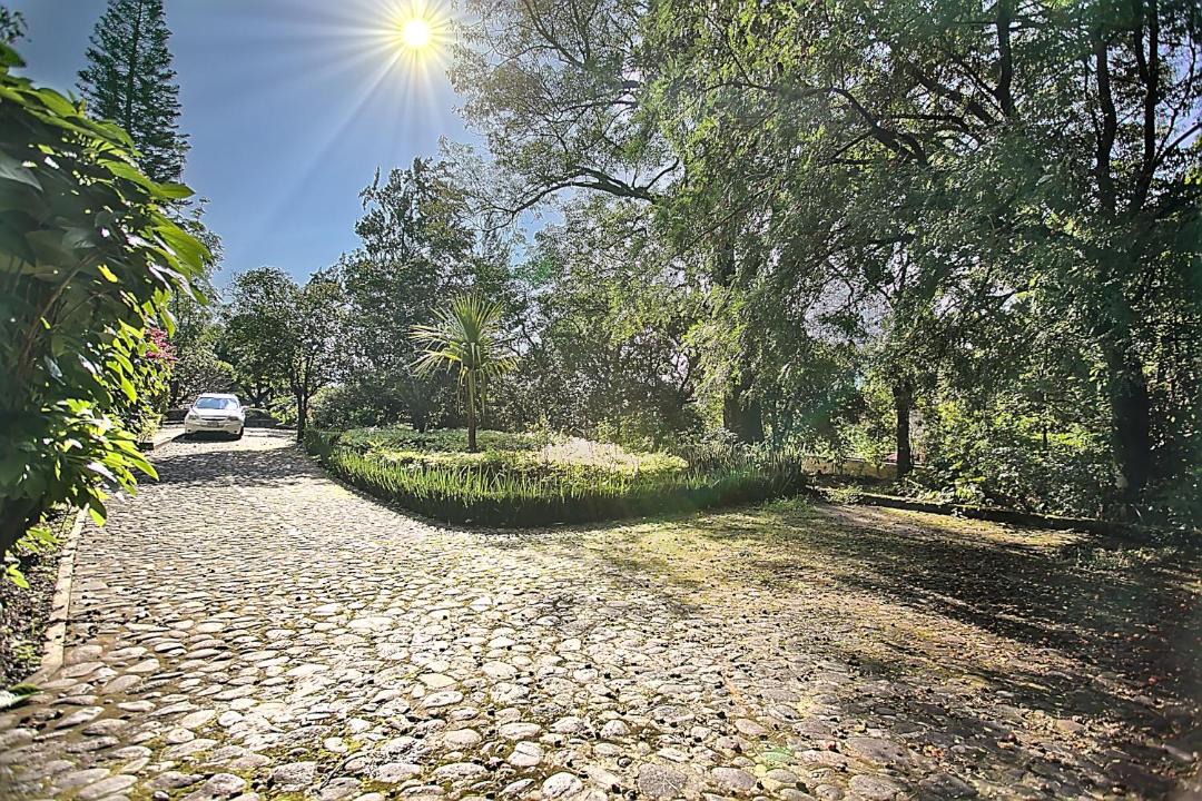 Photo of Others in Tepoztlan