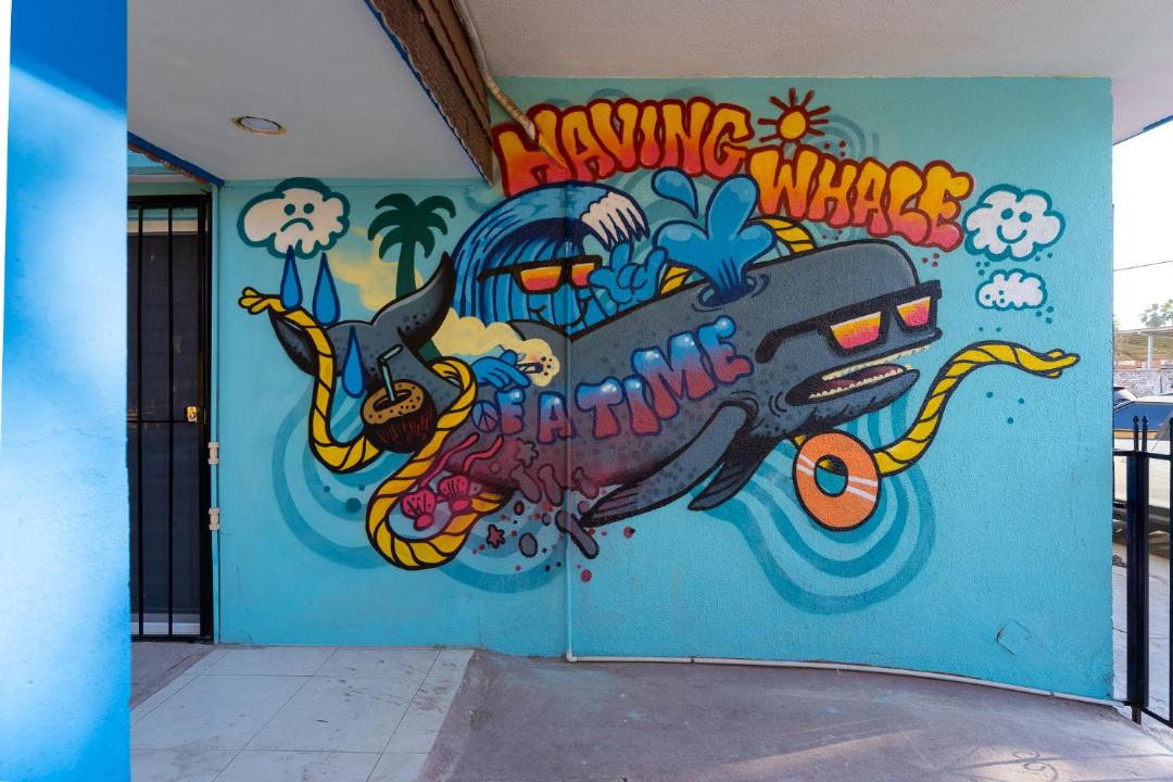 Photo of Others in Mazatlan