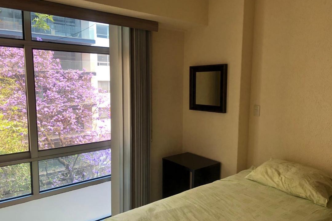 Photo of Bedroom in Polanco