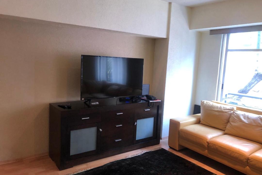 Photo of Livingroom in Polanco