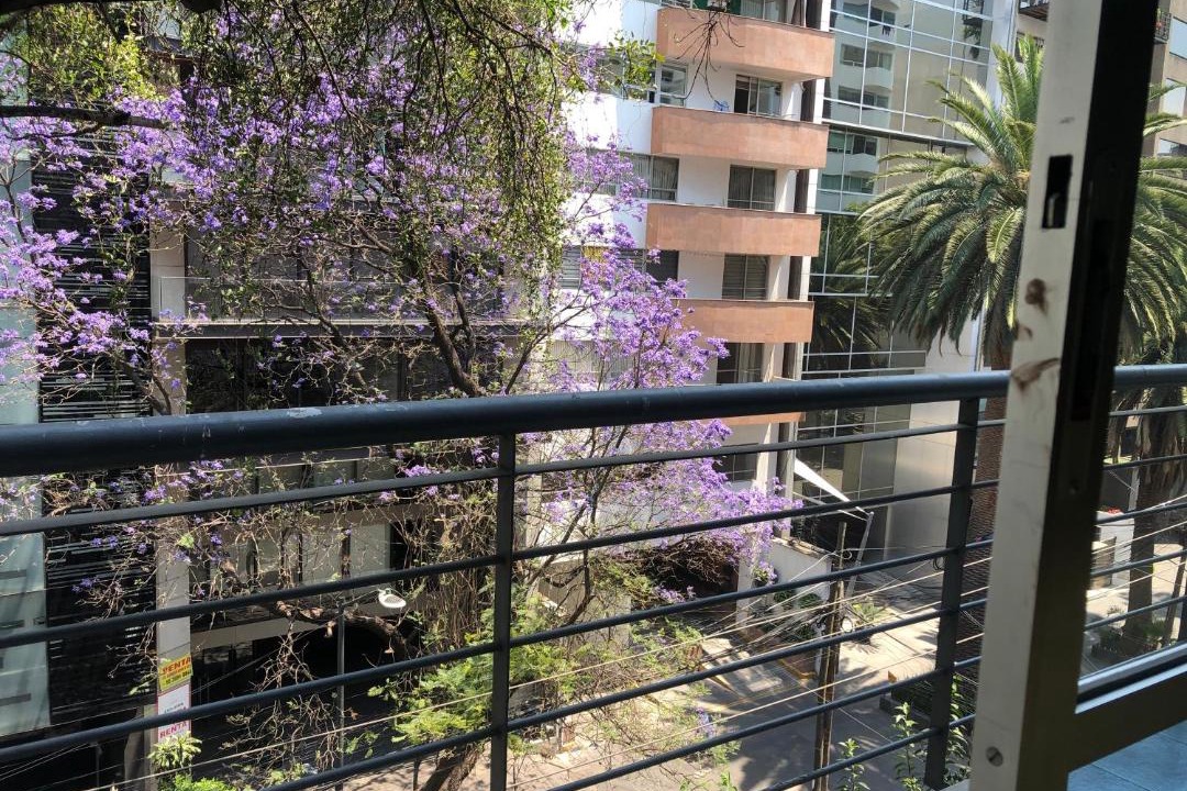 Photo of Others in Polanco
