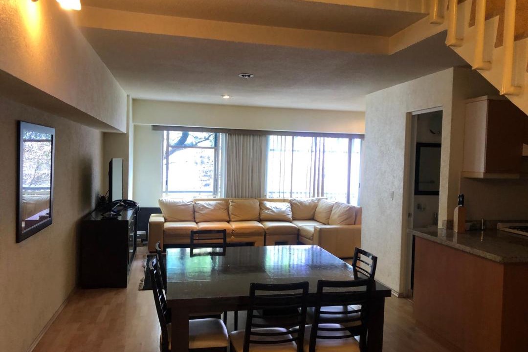 Photo of Livingroom in Polanco