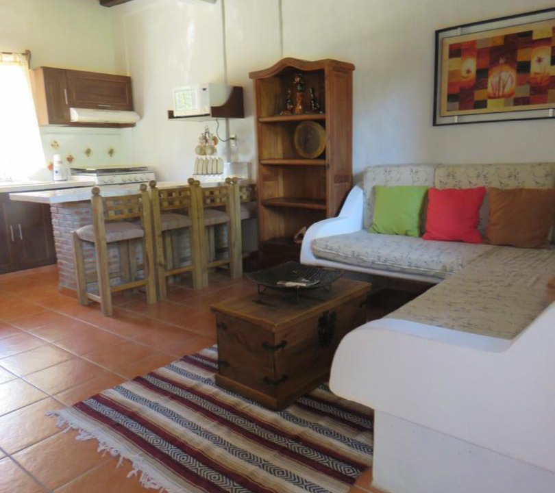 Photo of Livingroom in Higuera Blanca