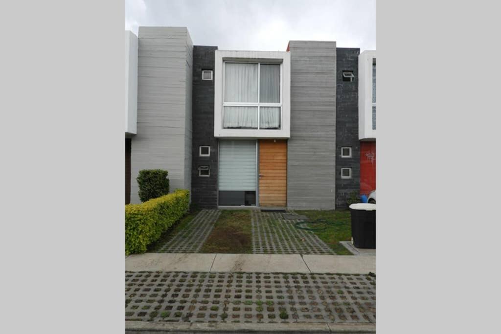 Photo of Buildings in Irapuato