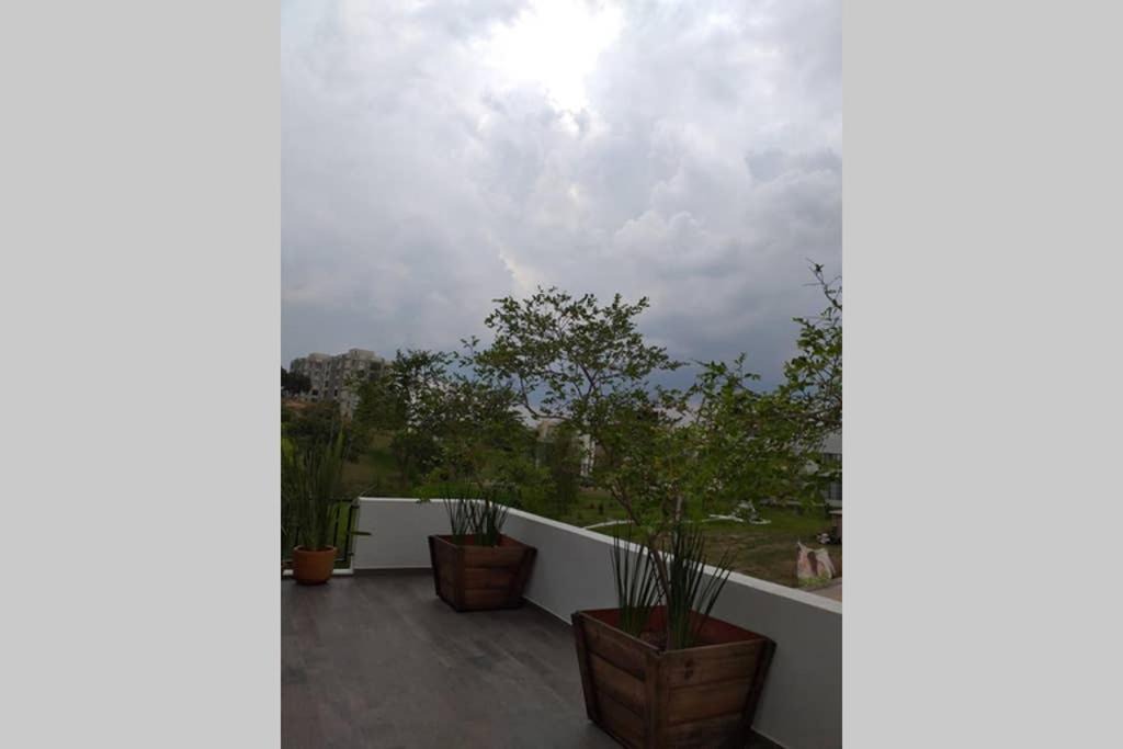 Photo of Patio Balcony in Zapopan