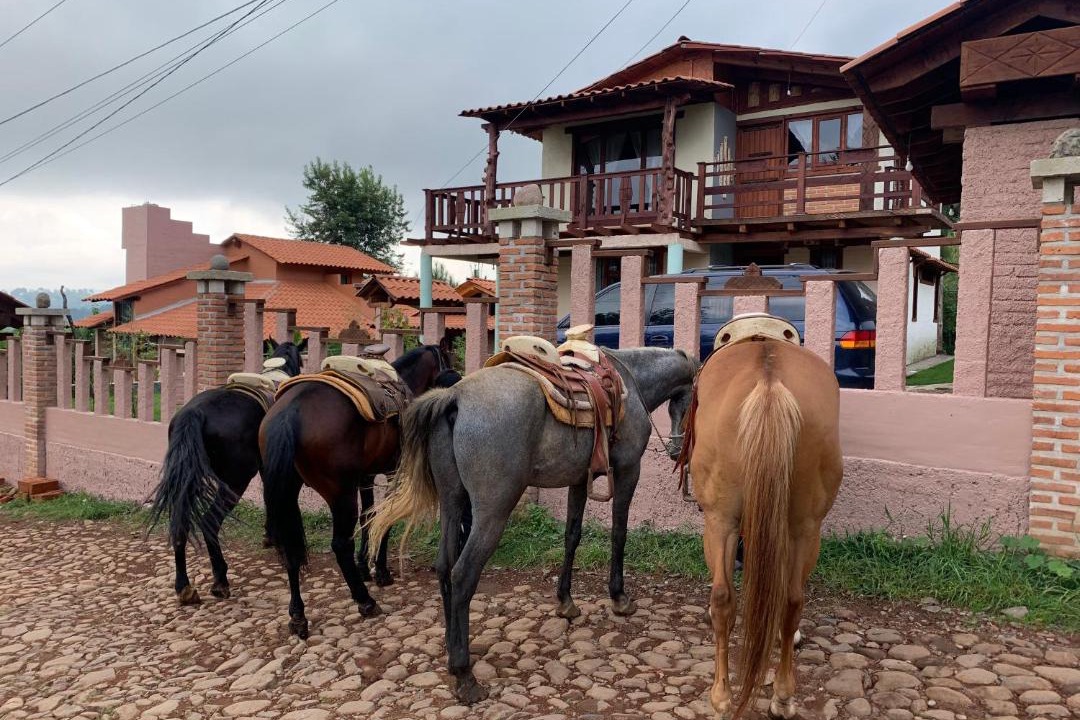 Photo of Others in Mazamitla
