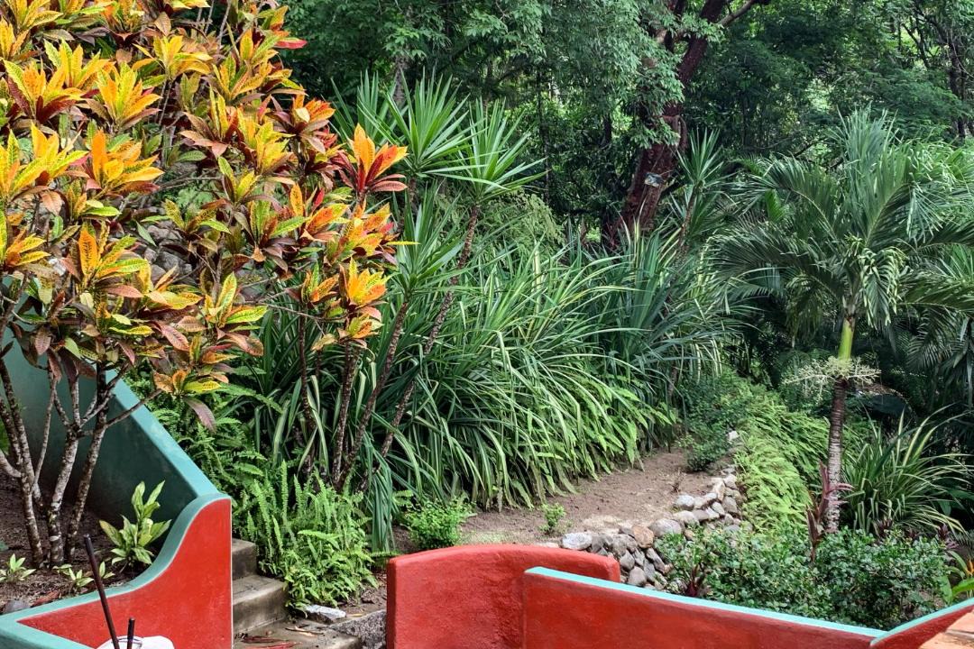 Photo of Patio Balcony in Sayulita