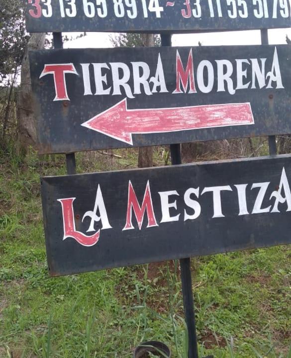 Photo of Buildings in Mazamitla