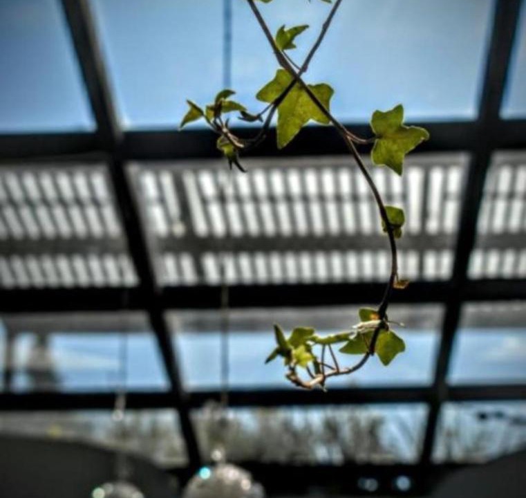 Photo of Patio Balcony in Anahuac