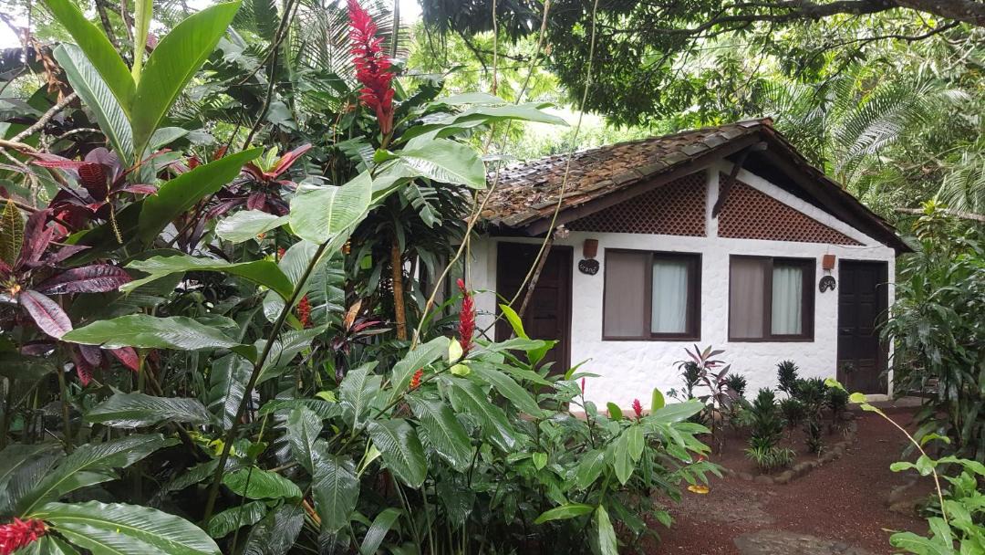 Photo of Buildings in Jalcomulco