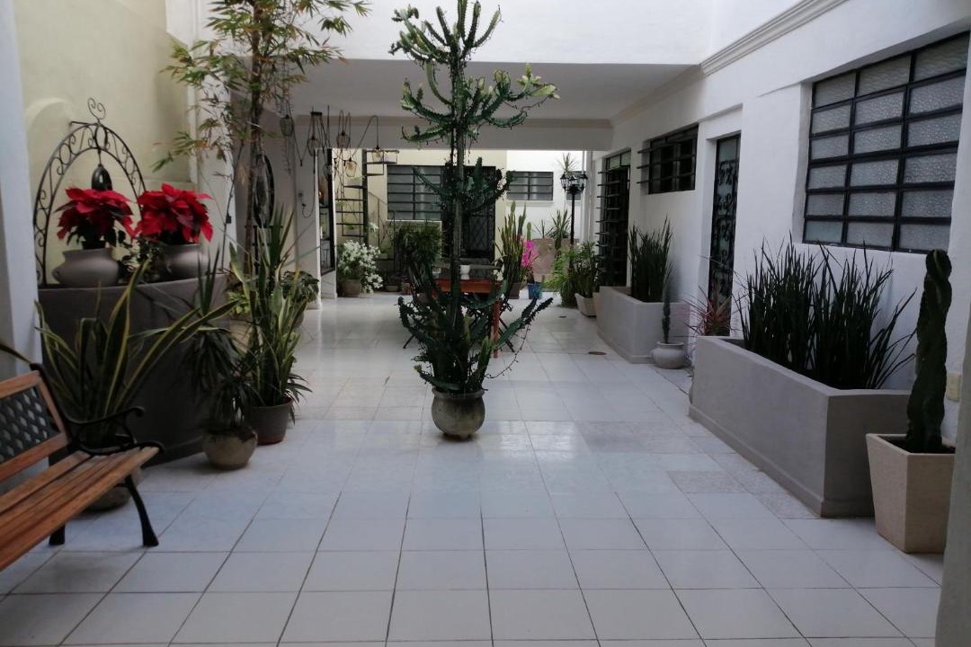 Photo of Others in Zona Paseo Montejo