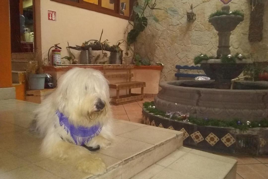 Photo of Others in De La Merced