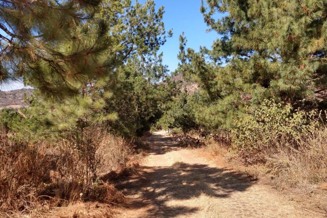 Photo of Outdoor in Mazamitla