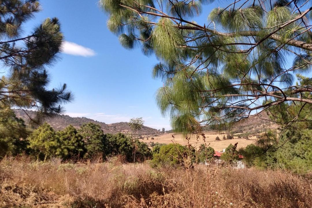 Photo of Others in Mazamitla