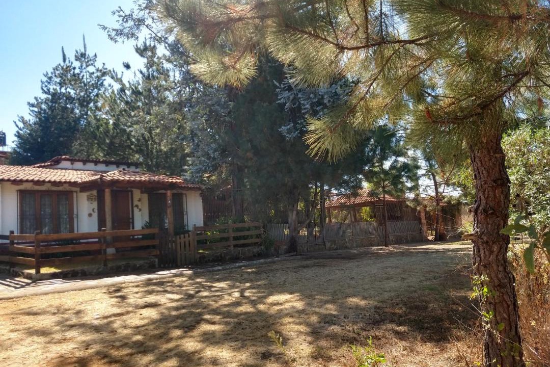 Photo of Buildings in Mazamitla