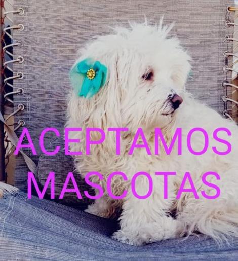Photo of Others in Puerto Penasco