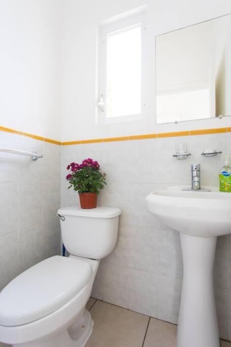 Photo of Bathroom in Valle Dorado