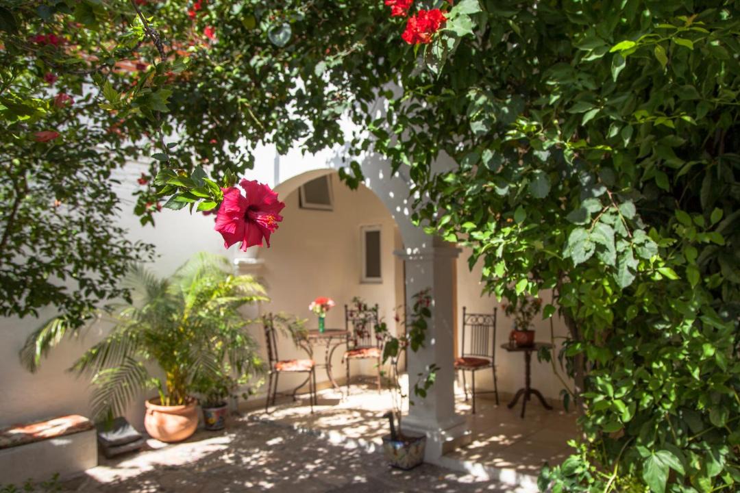 Photo of Patio Balcony in Zona Centro