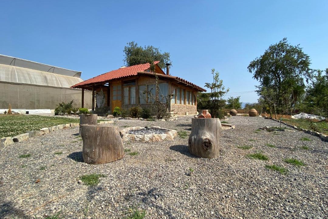 Photo of Buildings in Zacatlan